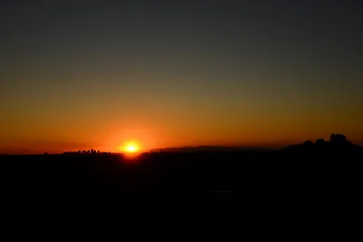 DSC_1477 (Large).JPG